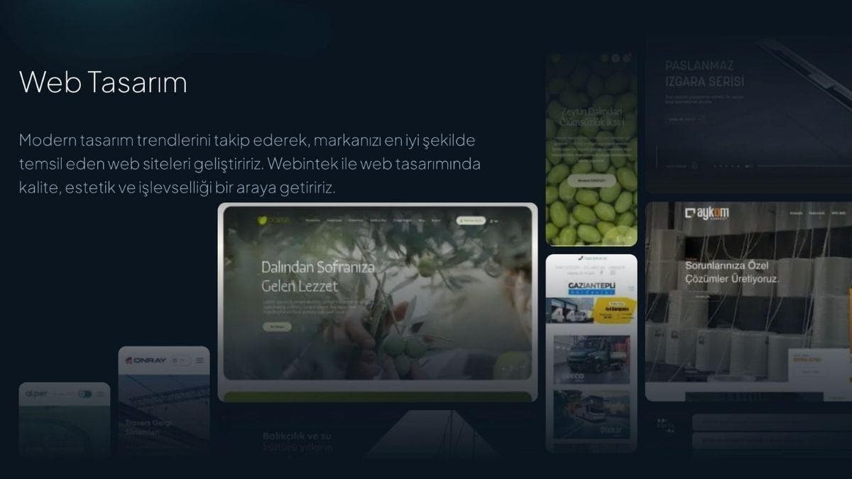Webintek İstanbul Web Tasarım