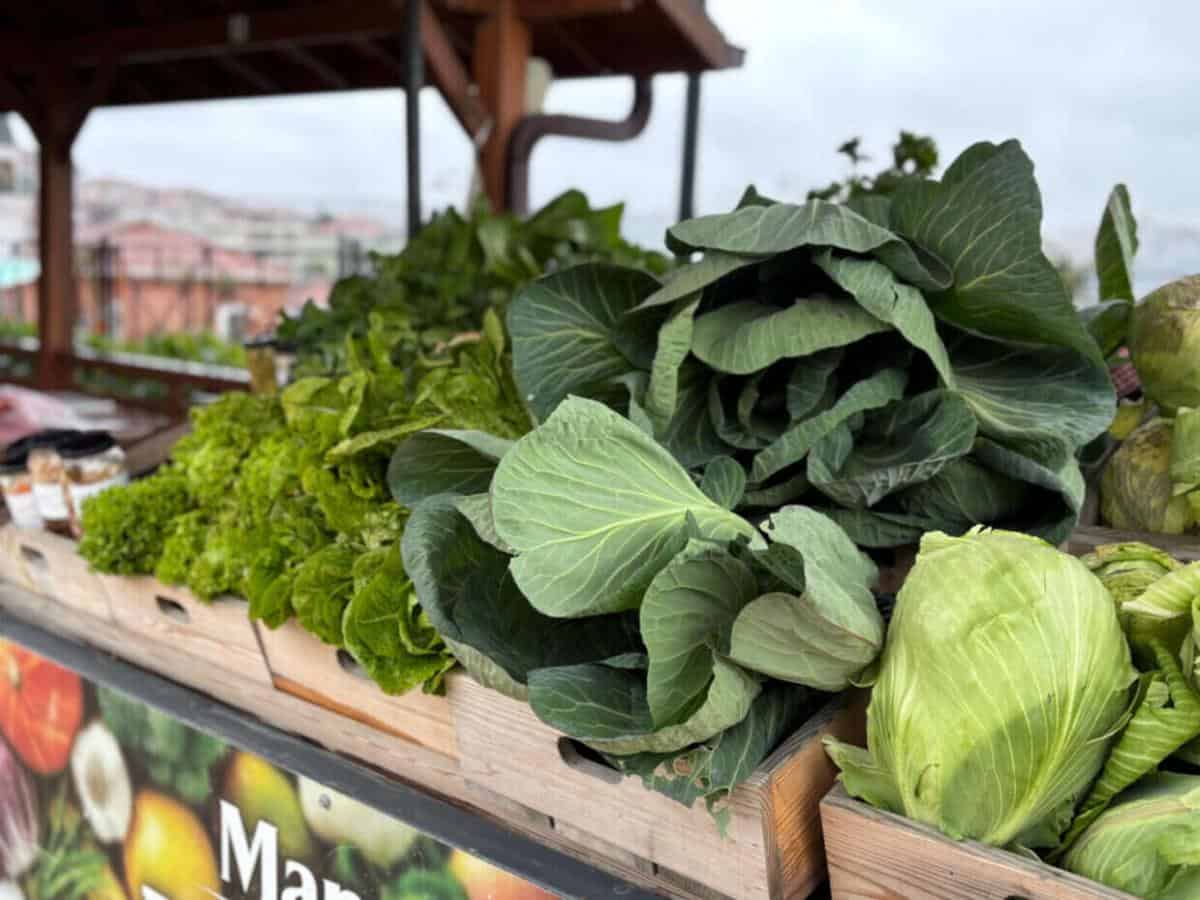 Ayvansaray Bahçe’de Doğal ve Katkısız Ürünler Manav Tezgahlarında Tüketiciyle Buluşuyor