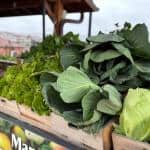 Ayvansaray Bahçe’de Doğal ve Katkısız Ürünler Manav Tezgahlarında Tüketiciyle Buluşuyor