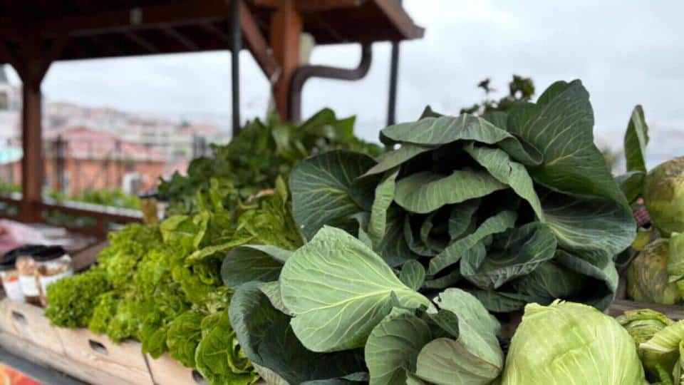 Ayvansaray Bahçe’de Doğal ve Katkısız Ürünler Manav Tezgahlarında Tüketiciyle Buluşuyor
