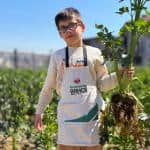 Ayvansaray Bahçe’de Kereviz Hasadıyla Şehirde Üretim Kültürü Güçleniyor