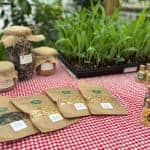 Ayvansaray Bahçe’de Atalık Tohum Şenliği: Veliler ve Çocuklar Üretimi Deneyimledi