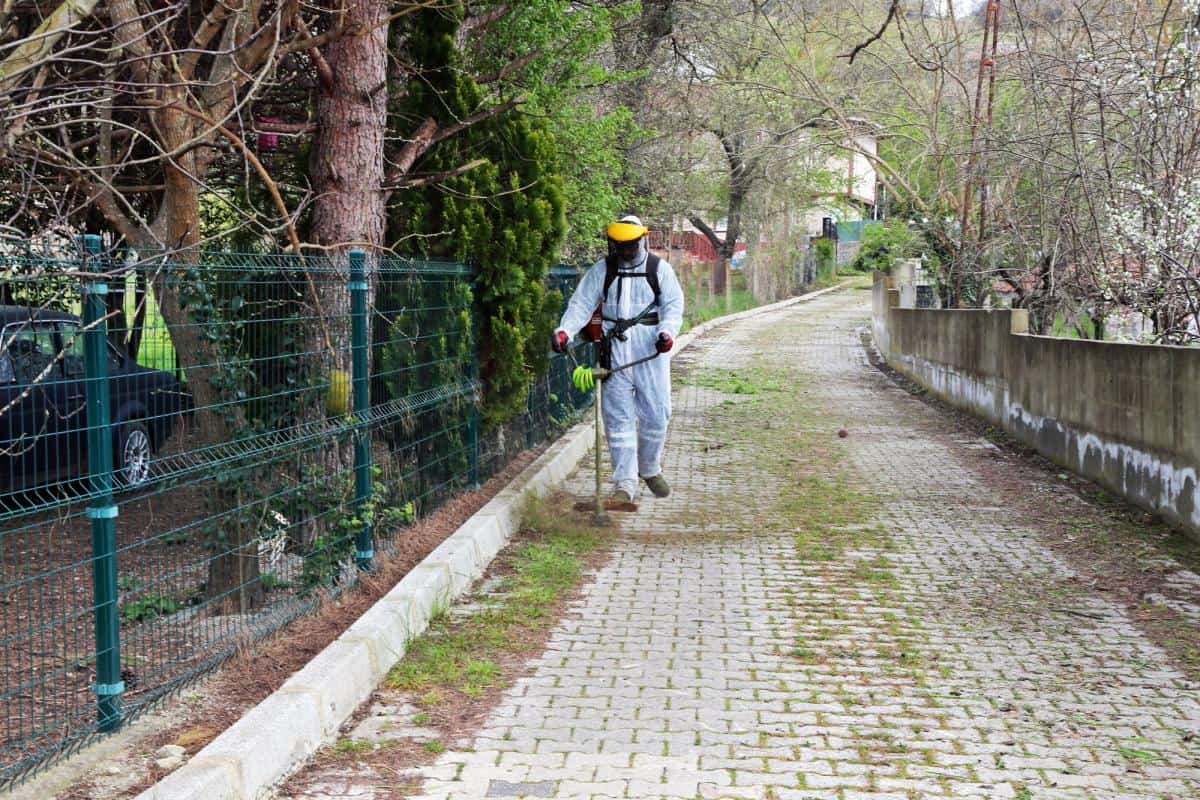 Beykoz’da Öğümce Mahallesi'nde Belediyeden Kapsamlı Şok Hizmet Çalışması