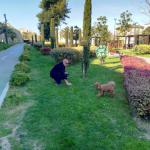 Fatih'te Yaşam Merkezleri Yazı Karşılıyor: Açık Havada Spor ve Dinlenme İmkanı