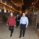 Pendik’te 65 Yaş Üstü Vatandaşlara Atlı Terapiyle Fiziksel ve Psikolojik Destek