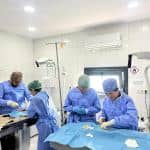 Fatih’te Sokak Hayvanları İçin Akademi ve Saha Temelli Eğitim Modeli Güçleniyor